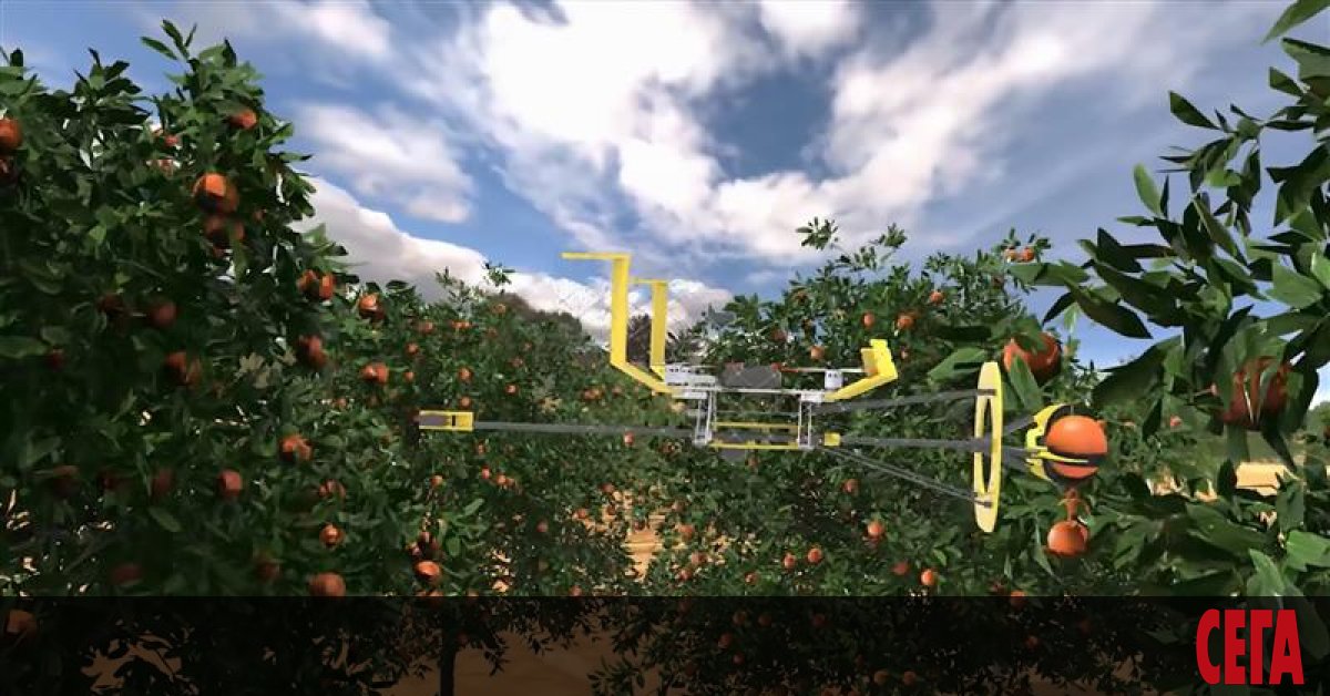 Налице е глобален недостиг на сезонни берачи на плодове, а