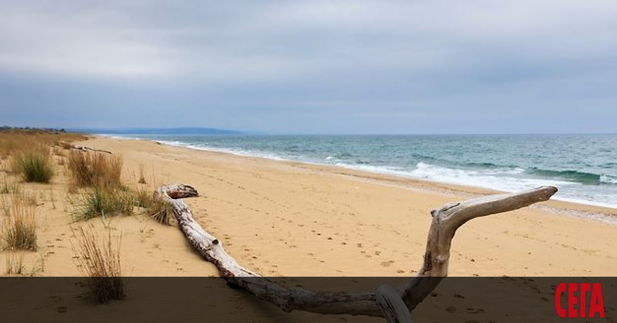 Протест под надслов Долу ръцете от българската природа“ събра тази сутрин