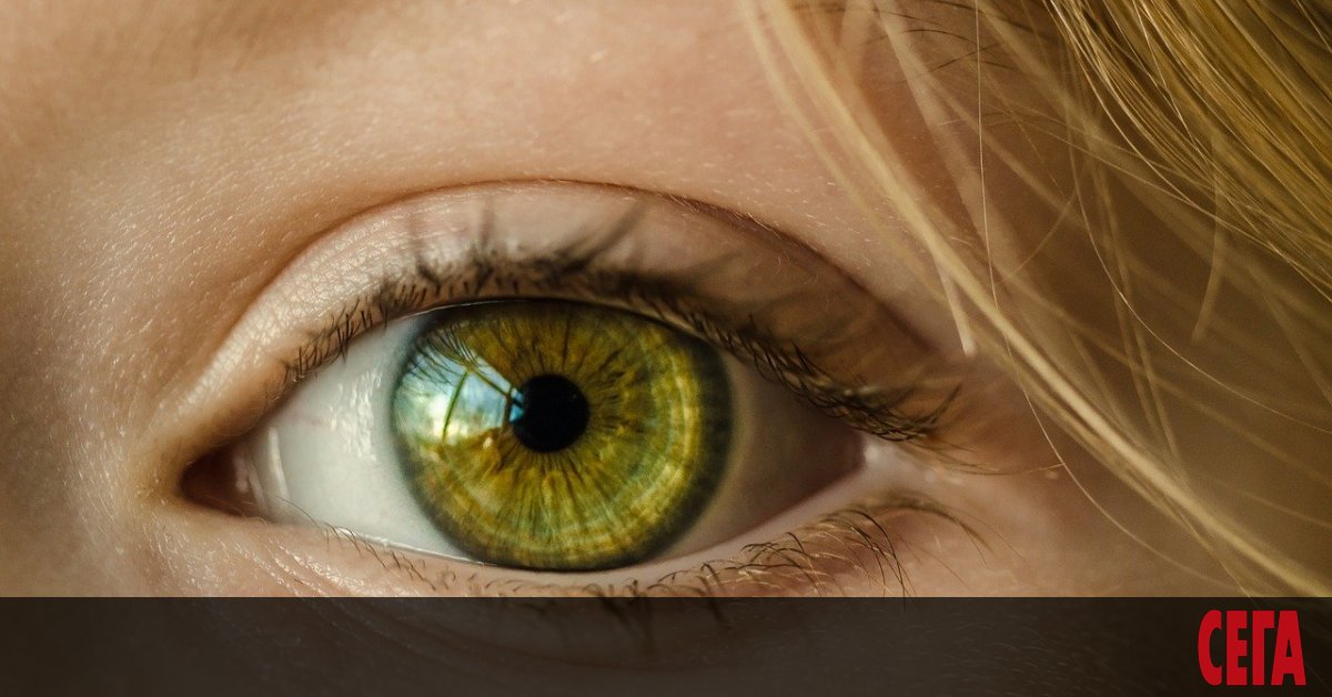 При проучване на 195 000 души, учени от Лондон и