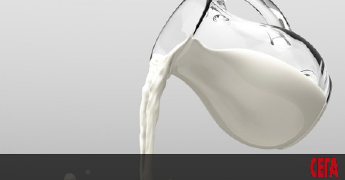 Масово в прясното мляко производителите влагат сухо мляко. Това са