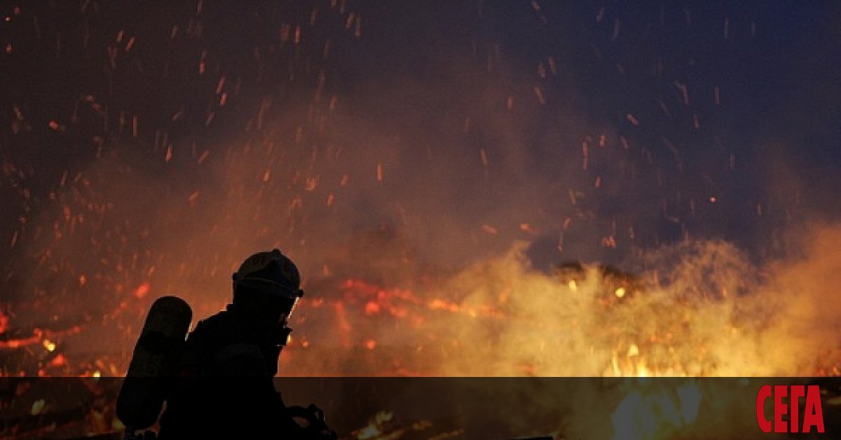 51-годишна жена е загинала, а двама души са пострадали при