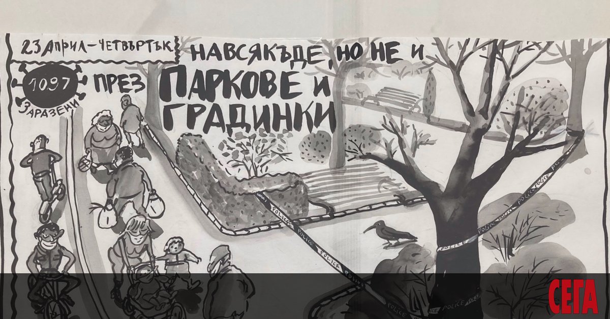 Алла Георгиева се е занимавала с промишлен дизайн и оформление на