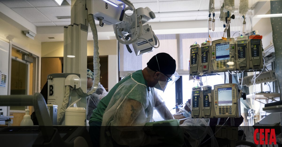 Японски хирурзи извършиха първата в света успешна трансплантация на бял