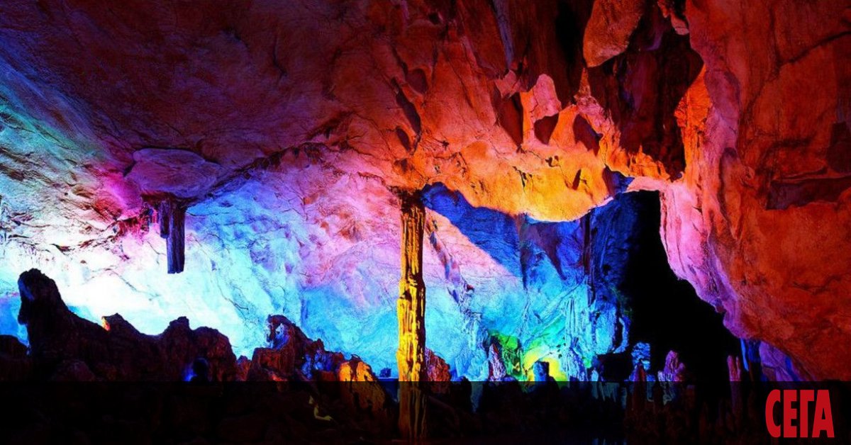 Оранжево, червено, жълто - калейдоскоп от цветове. Все едно се