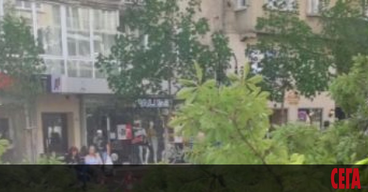 Голямо дърво падна в пешеходната зона на столичния булевард Витоша