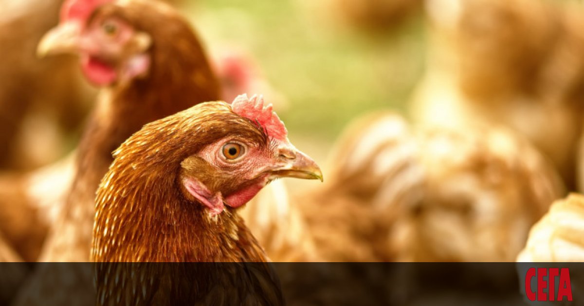 Хасковски села обявиха, че се вдигат на бунт заради поредното престъпно