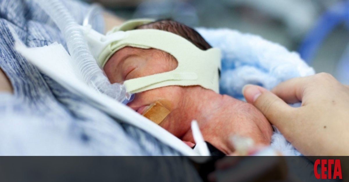 Родителите на недоносените деца трябва да имат достъп до тях