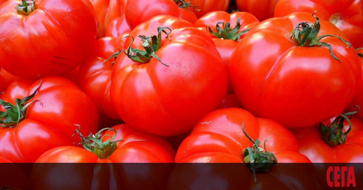 В последните 5 години България внася много повече домати, отколкото