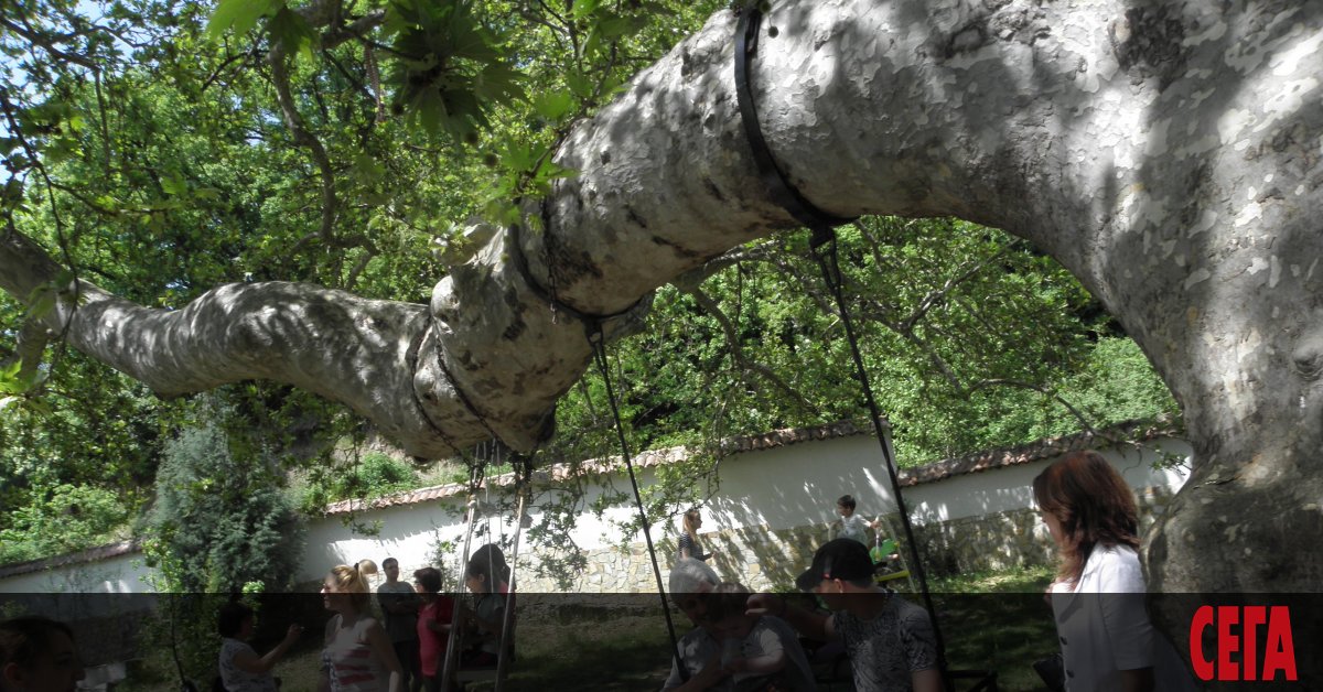 Наляво Петрич, където са всичките ми ближни, надясно Сушица (б.р.