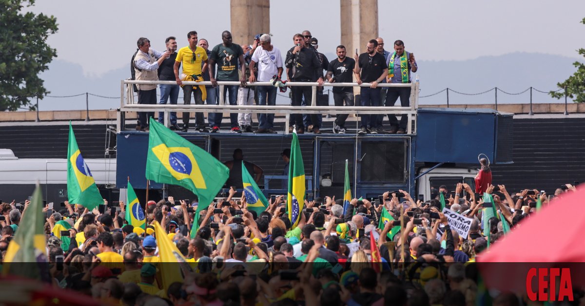 Изследователи от университета в Сао Пауло са открили нов вариант