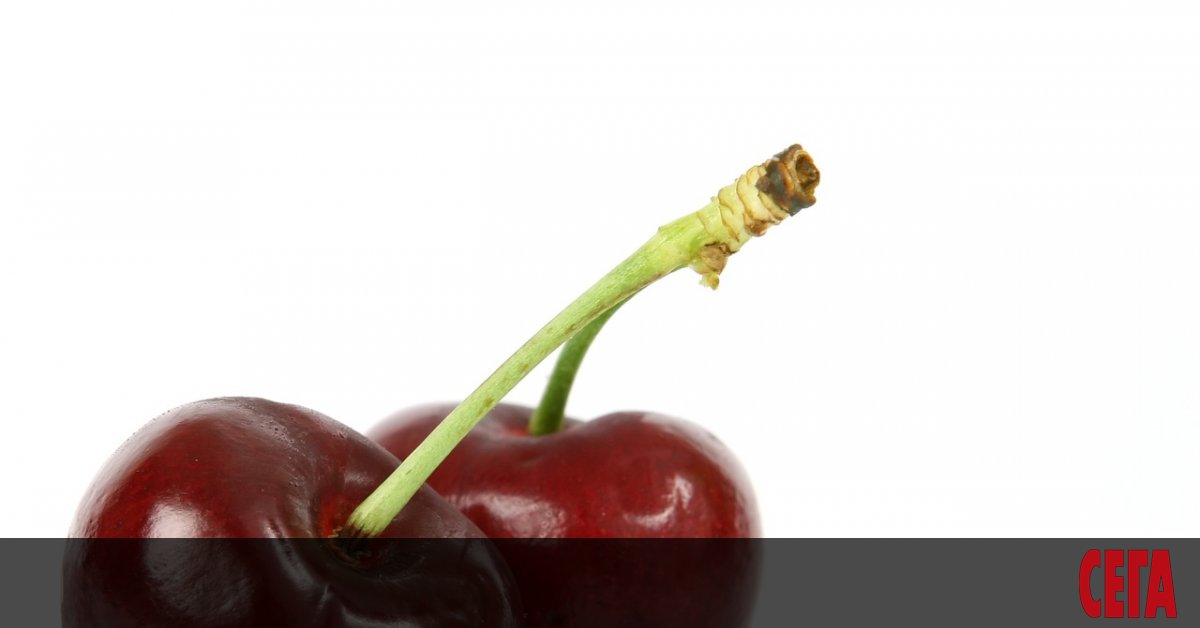 В популярния телевизионен сериал Туин Пийкс на режисьора Дейвид Линч