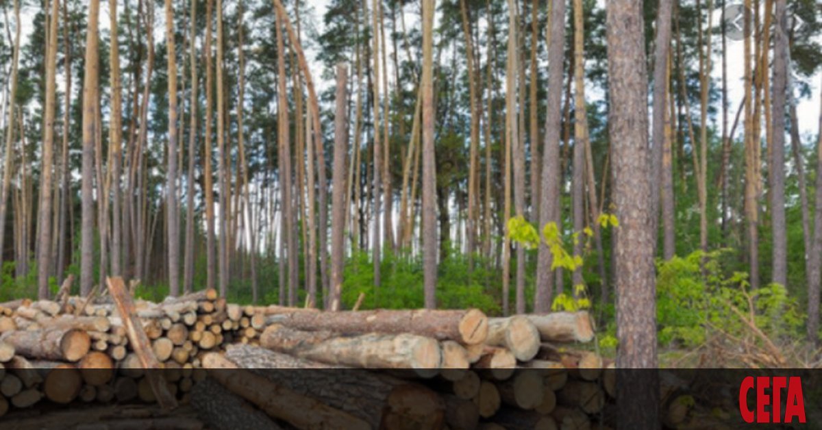Служебният земеделски министър проф. д-р Христо Бозуков е издал заповед,