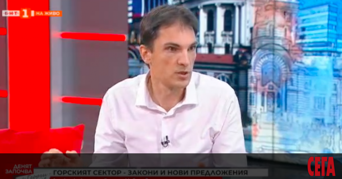 Отделните незаконни сечи не са ни най-големия проблем, най-големият проблем