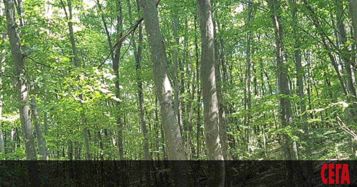 Жители на няколко села от област Стара Загора блокираха днес подбалканския