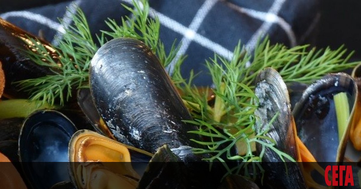 Мидите са едно от летните лакомства, изкушаващи повечето курортисти по