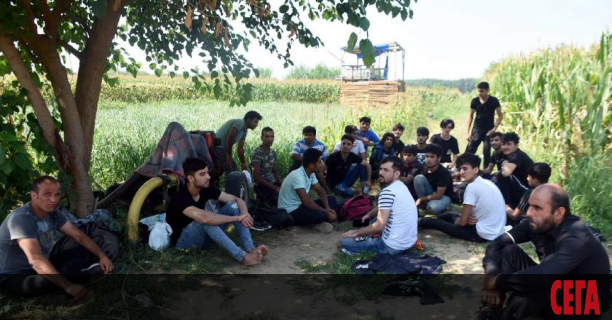 Групи от  афганистански мигранти в Турция са поели към Одрин,