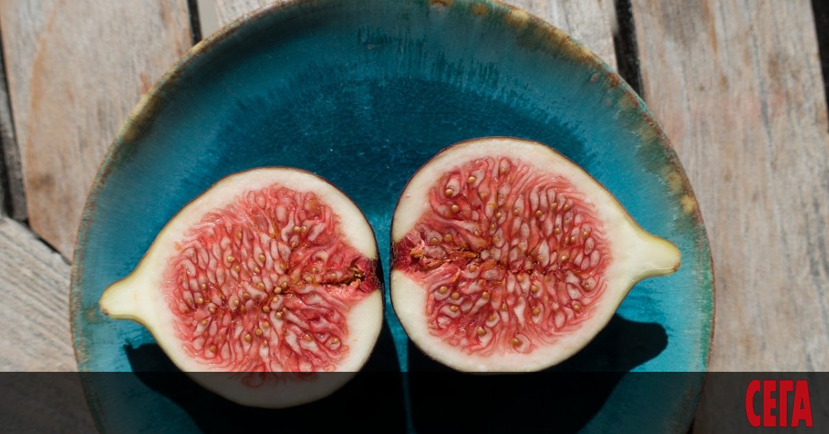 Пророкът Мохамед бил казал, че ако в Рая се окаже,