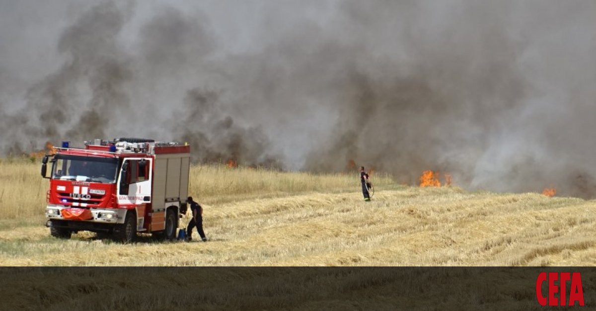 Група служители на Югозападно държавно предприятие са погълнати от пожара