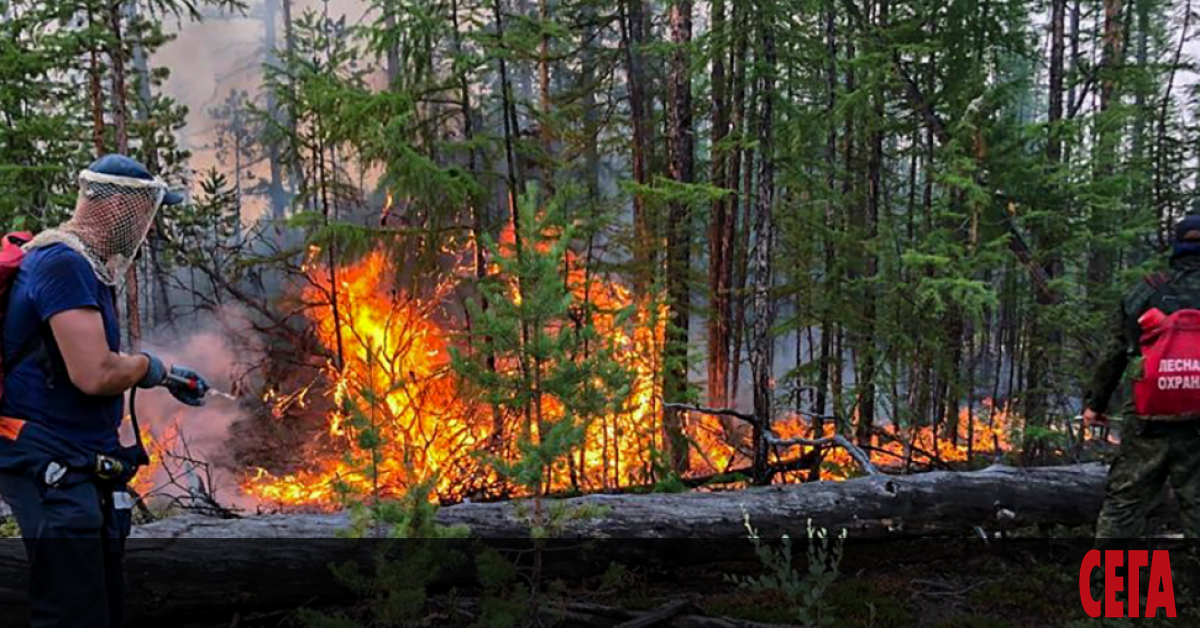 Димът от бушуващи горски пожари в Сибир достигна северния полюс