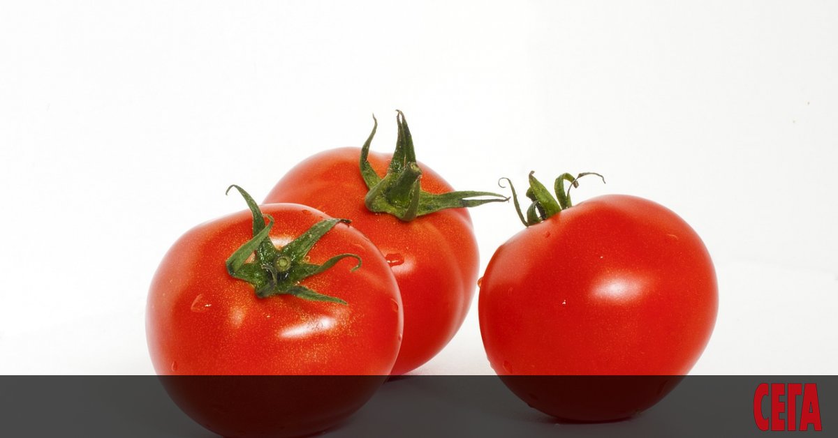 Всяка година към края на лятото в испанския град Буньол