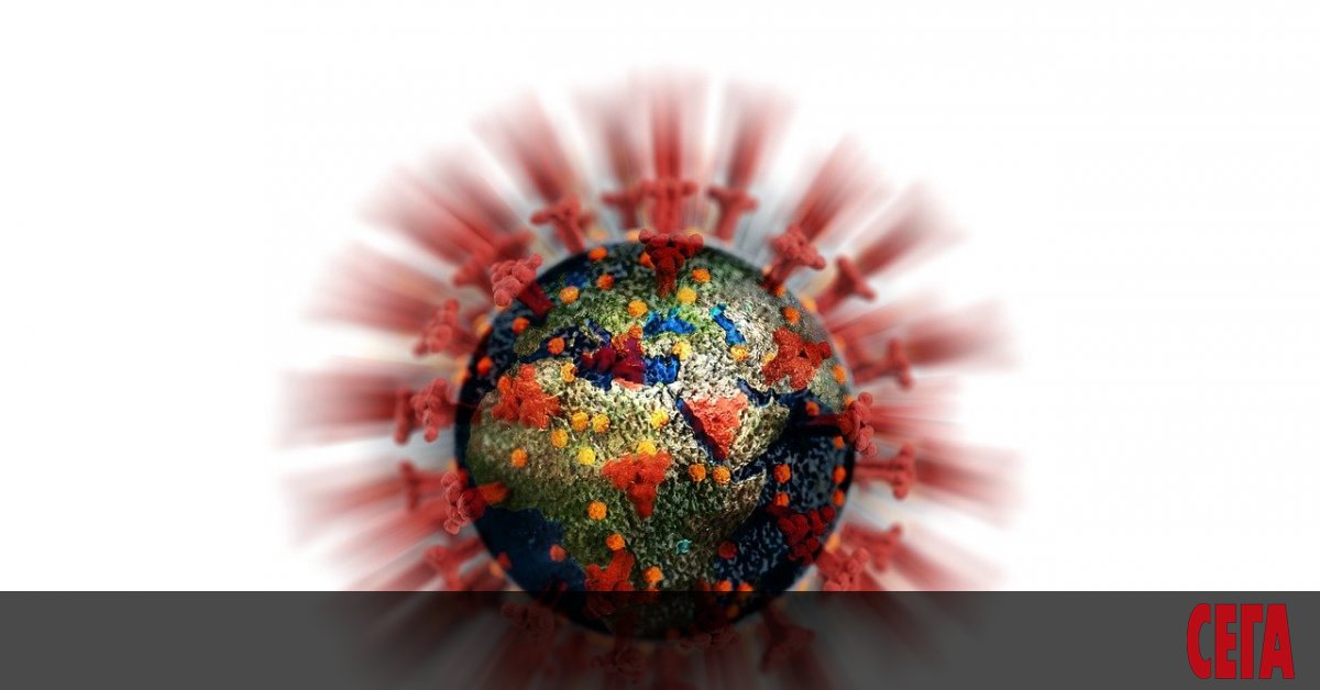 След седемседмичен период на спад, честотата на ковид в световен