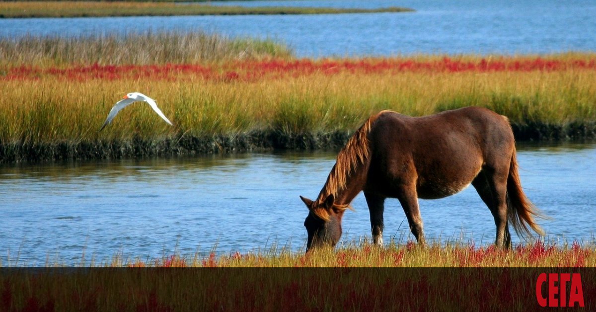 След дълги изтощителни преговори пред и зад обществото най-накрая все пак
