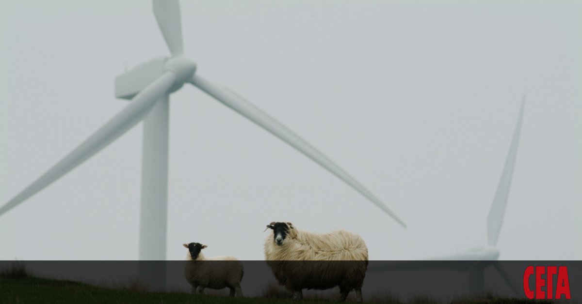 Новото германско правителство възнамерява до покрие с вятърни електроцентрали 2% от
