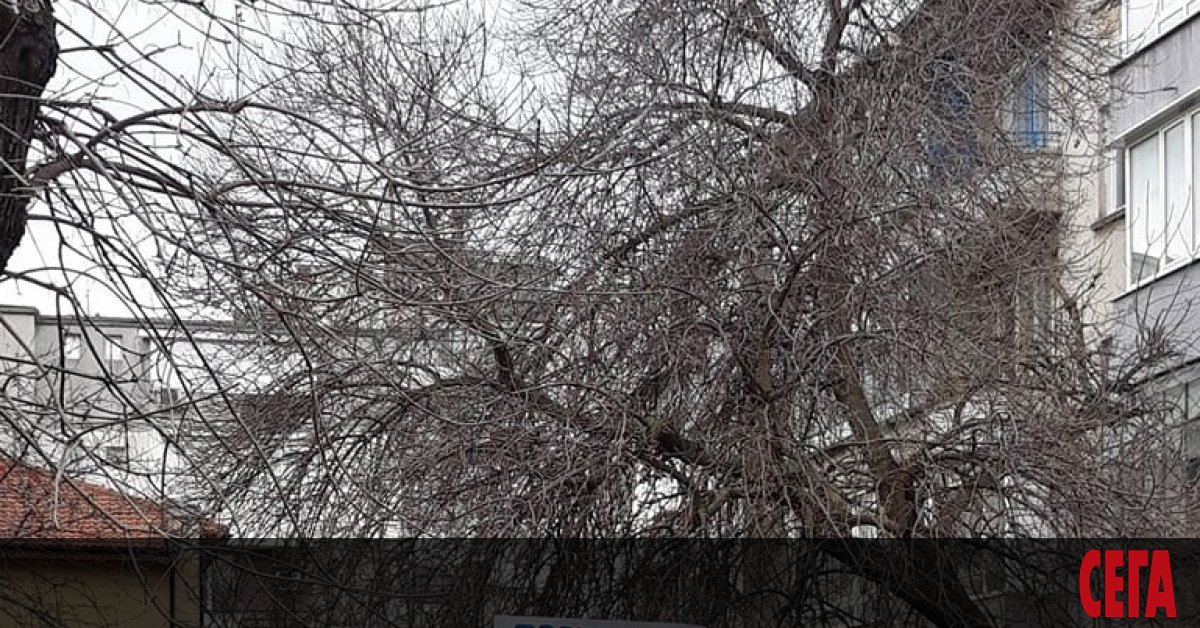 Около 30 души проведоха мирен протест пред консулството на Русия във