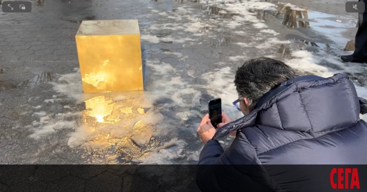 На 2 февруари разхождащите се в Сентръл парк в Ню Йорк може да