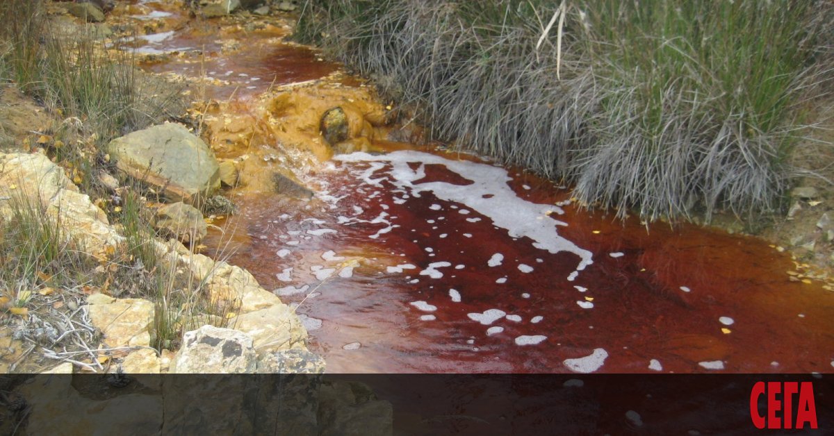 Здравето на деца и възрастни е изложено на риск заради