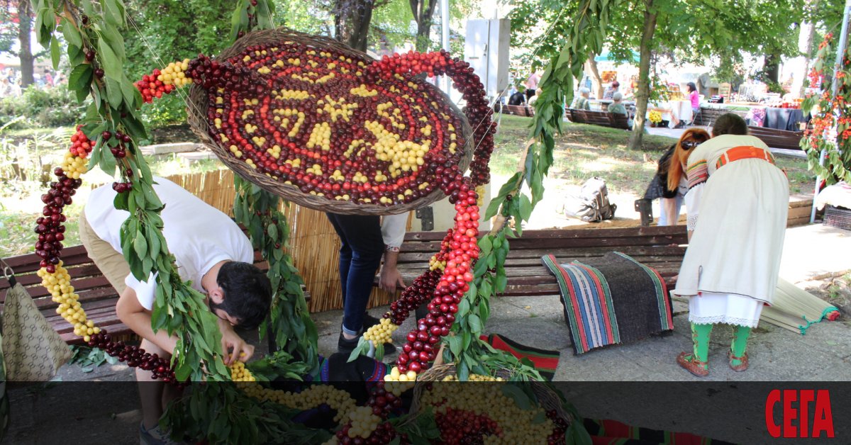 Традиционният празник на черешата се провежда днес в Кюстендил. Акцентът