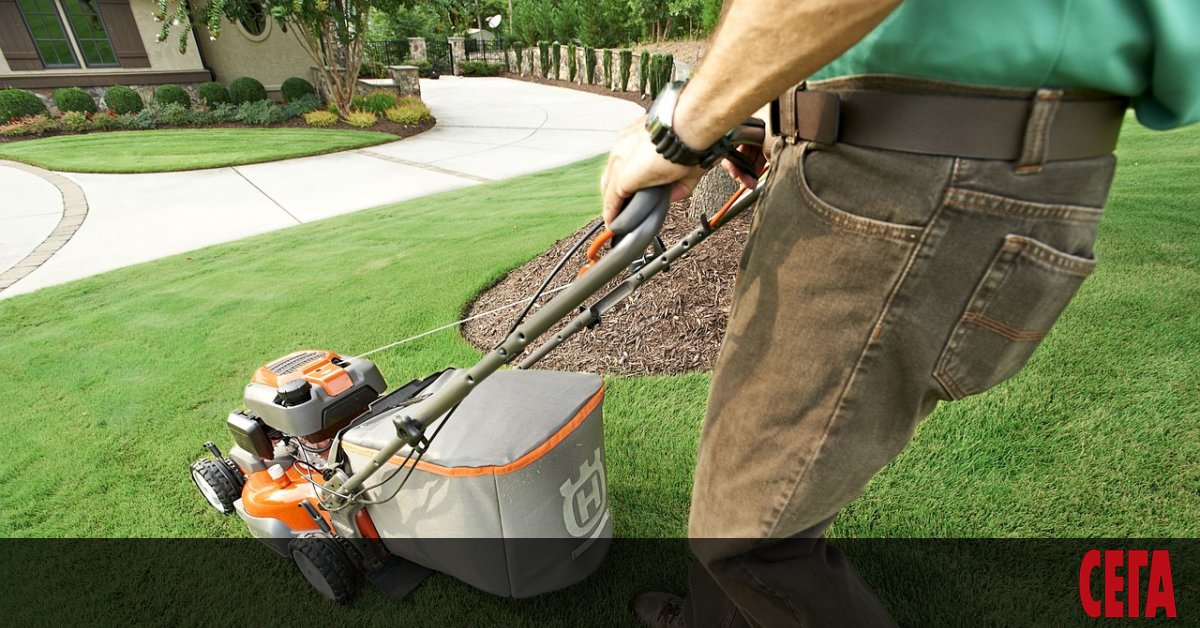 Поддръжката на зелена и свежа морава е от решаващо значение