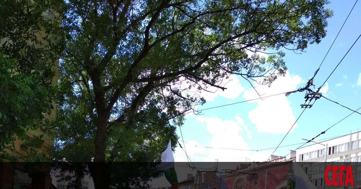 Европейският съд в Люксембург отряза българските превозвачи. Искът на нашата