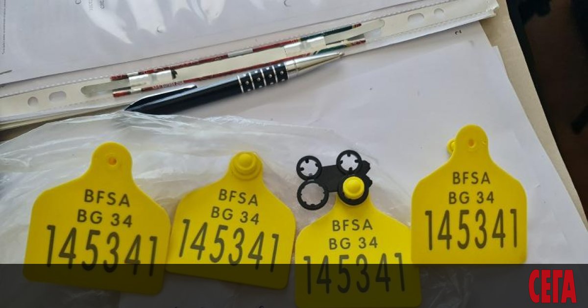 8 души са в ареста след акция на ГДПОБ под