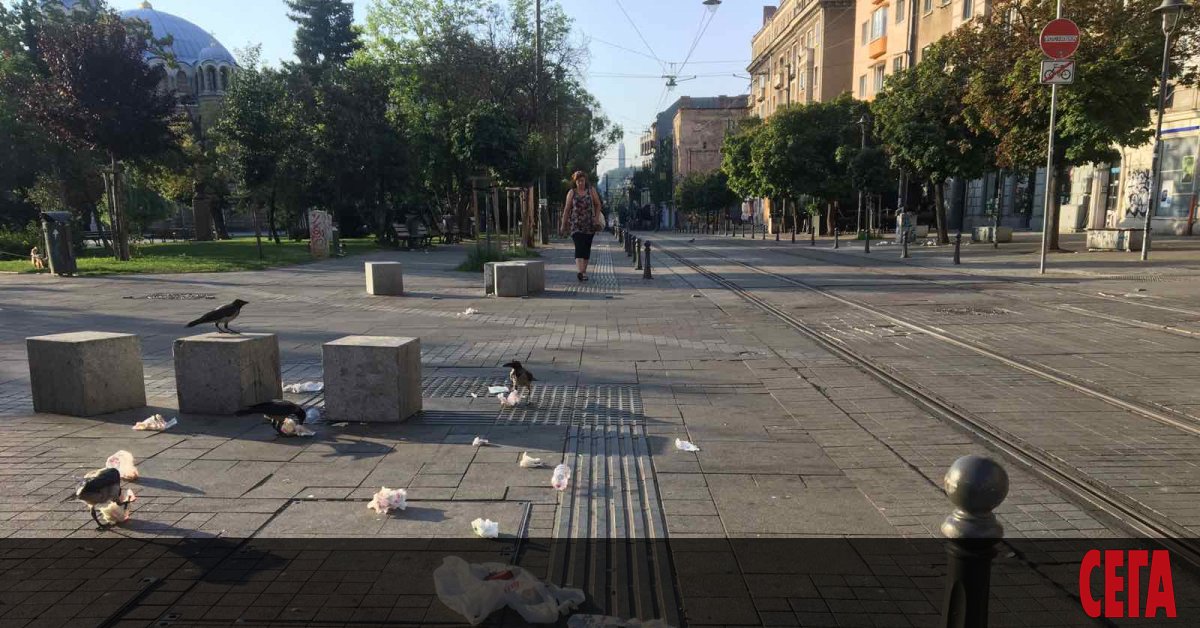 Милионите, които харчи София за чистота, растат като нея самата,