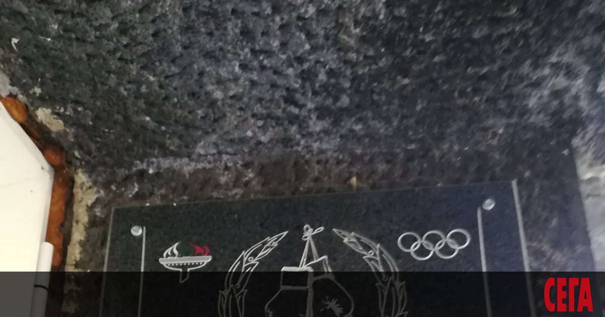 Паметна плоча в чест на първия български олимпийски медалист -