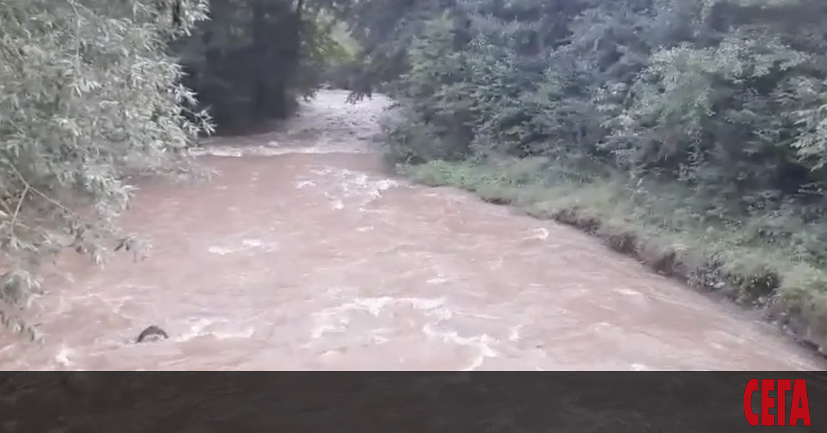 В Своге е започнало изваждането и транспортирането в екарисаж на