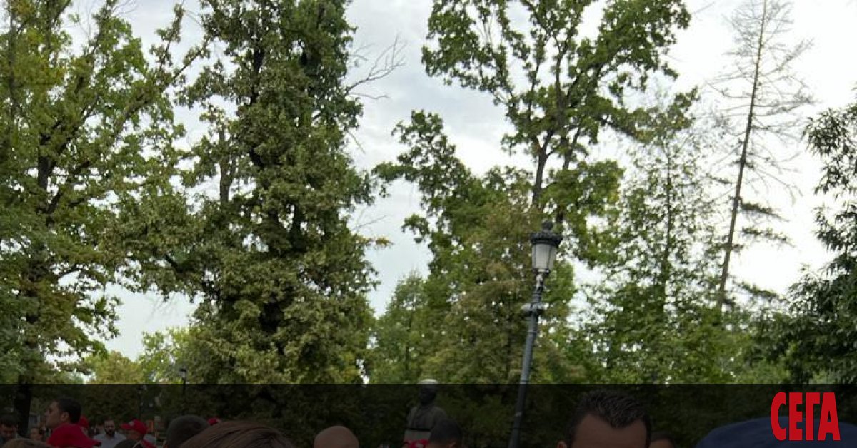 Наред с шарените птици от маргиналните партии едно от дребните