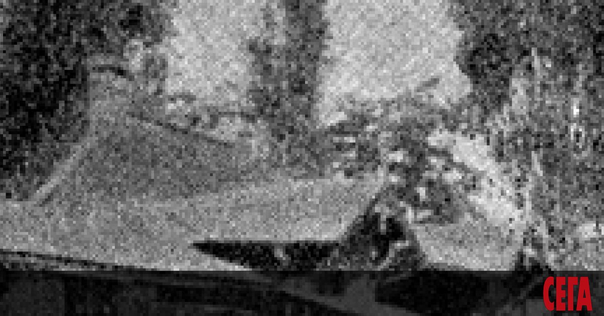 Всички кралски особи имат поне по едно хоби и често