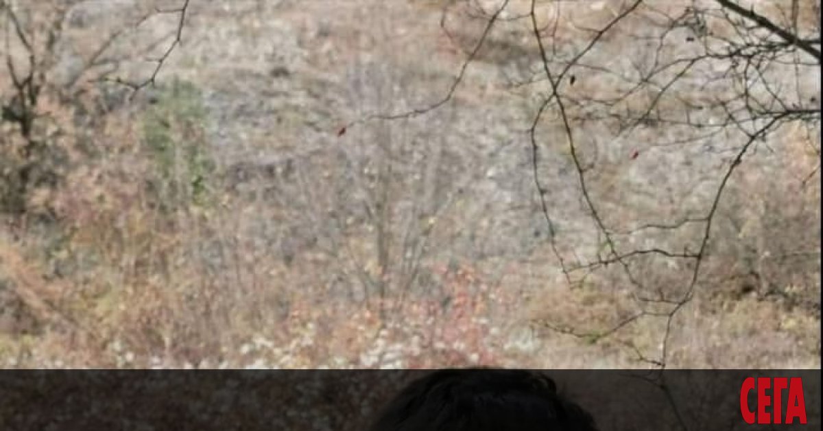 Издирват 8-годишно момче с аутизъм, изчезнало в Перник. Малкият Александър е изчезнал в