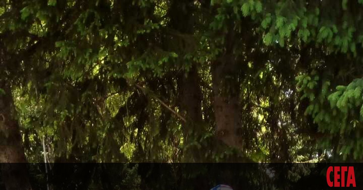 Врачанинът Николай Костов е секретар на клуба за ретро автомобили