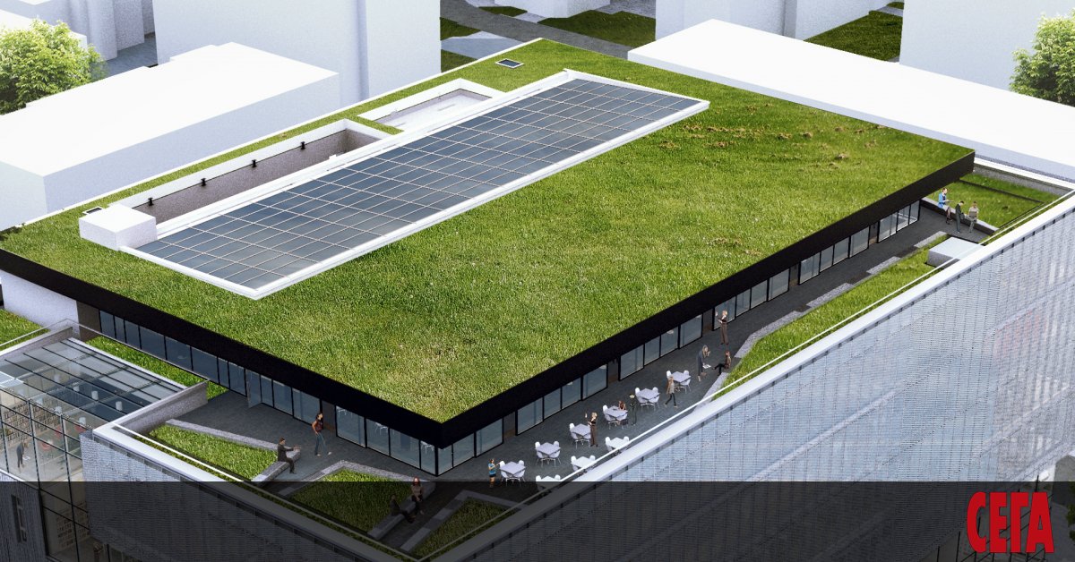 В края на 2015 г. в публичното пространство се появяват