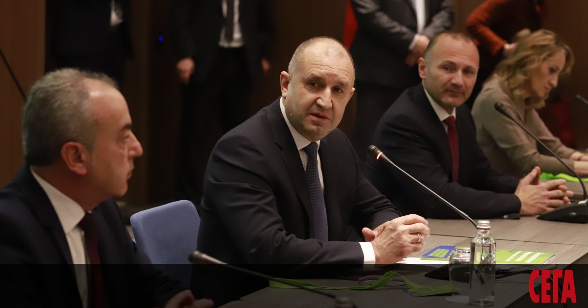 Четири нови ядрени блока, две големи ВЕЦ на Дунав, производство на