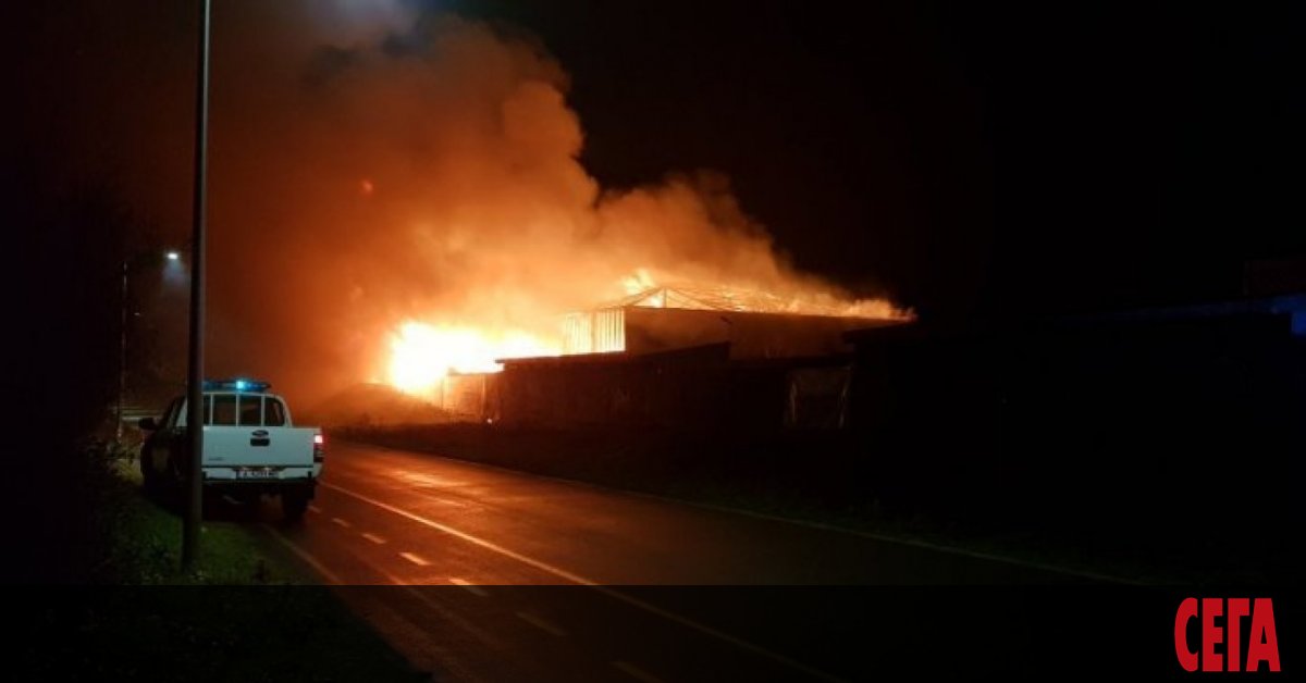 Пожар изпепели голямо заведение на плажа в Бургас. То се