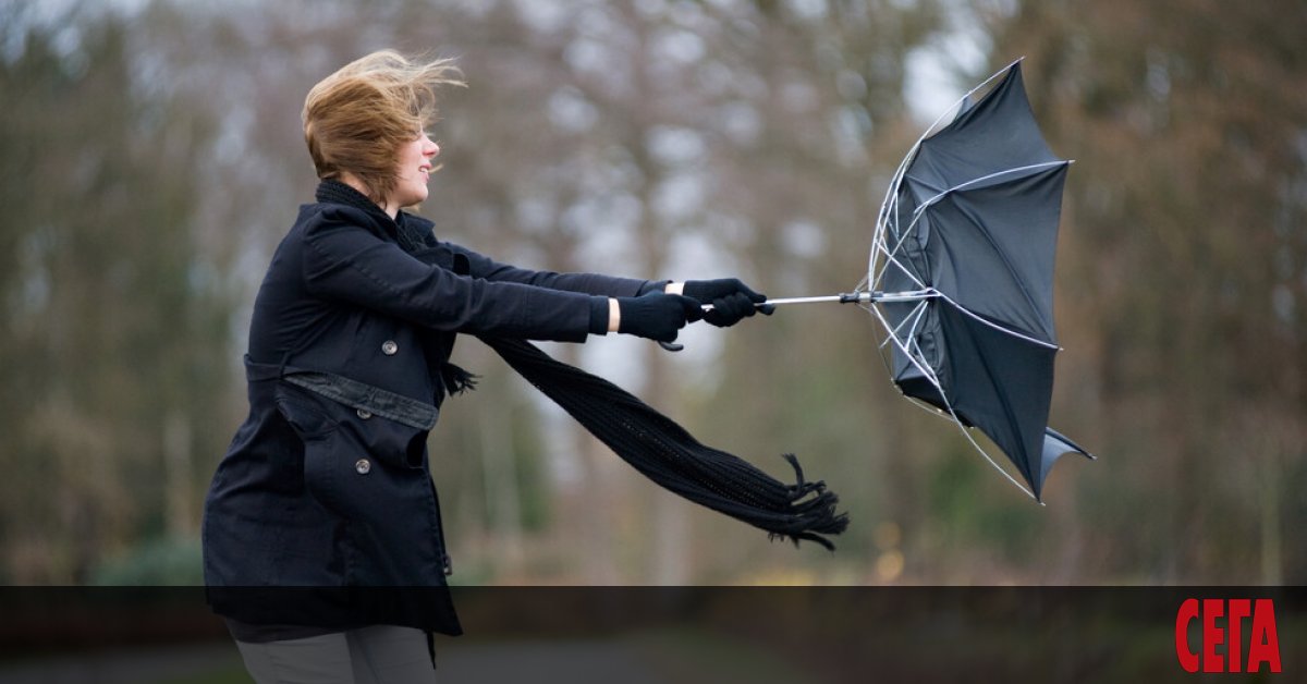 Днес е неучебен ден във Враца заради щетите, причинени на