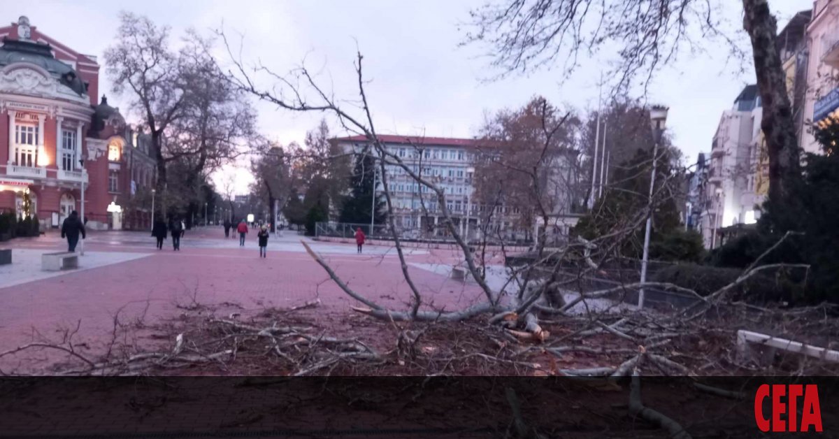 Le maire de Varna a secrètement programmé la catastrophe pour le 3 décembre