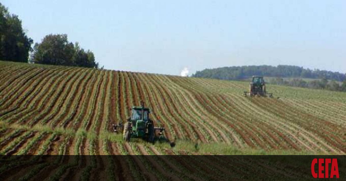 Photo of Toutes les restrictions imposées aux citoyens de l'UE achetant des terrains en Bulgarie ont été levées