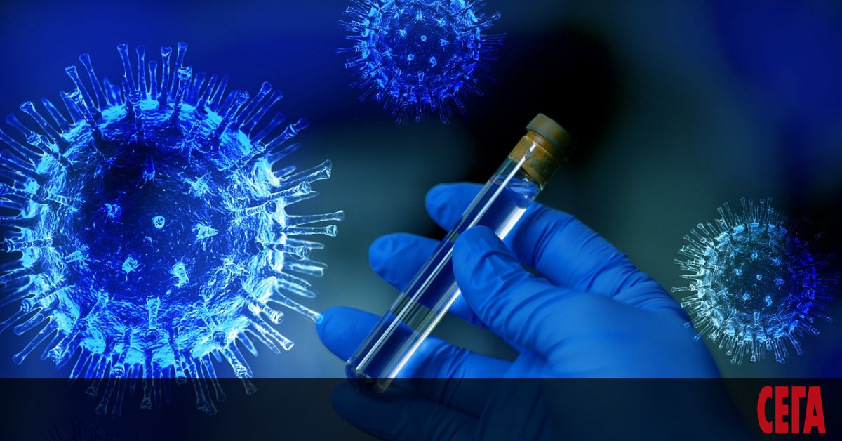 Германската служба за външно разузнаване е събрала достоверни доказателства, че