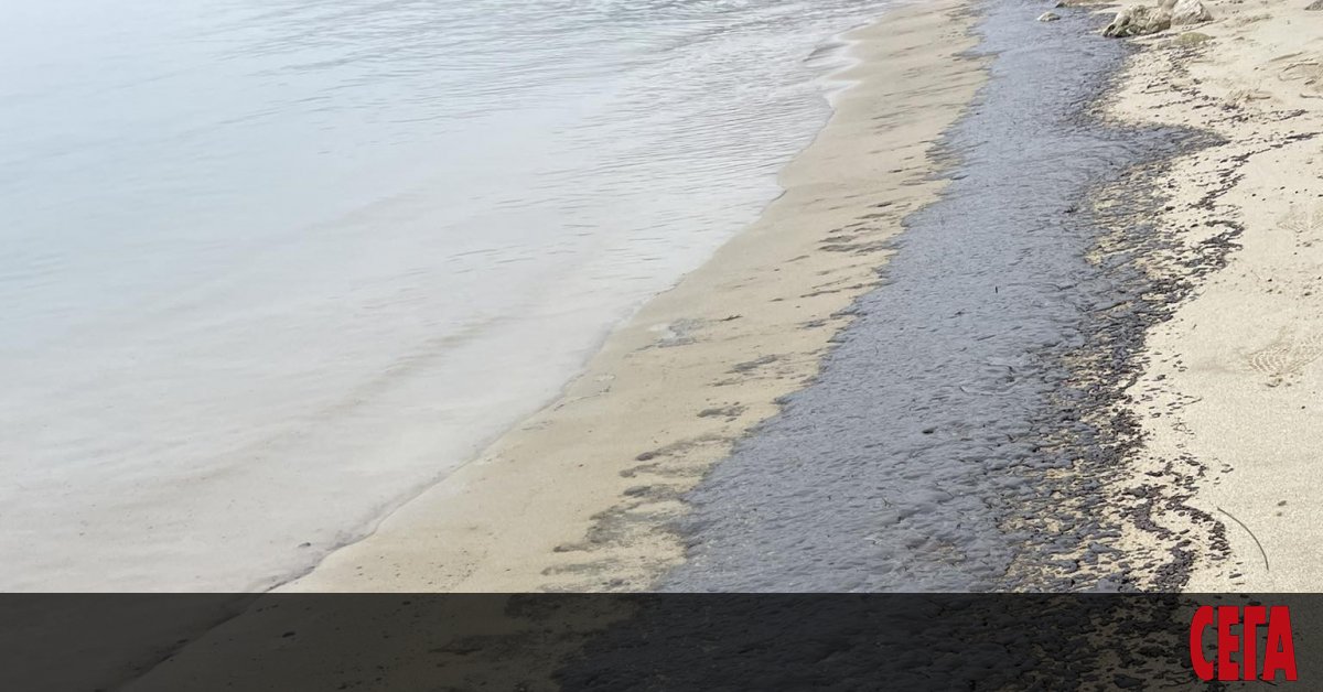 Петна от мазут на варненския бряг бяха забелязани от граждани