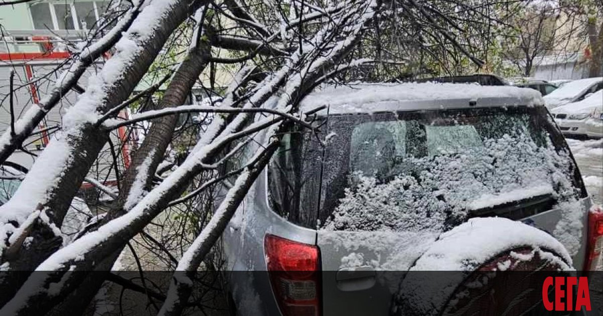 Нетипичното за последните години снежно априлско време не минава без